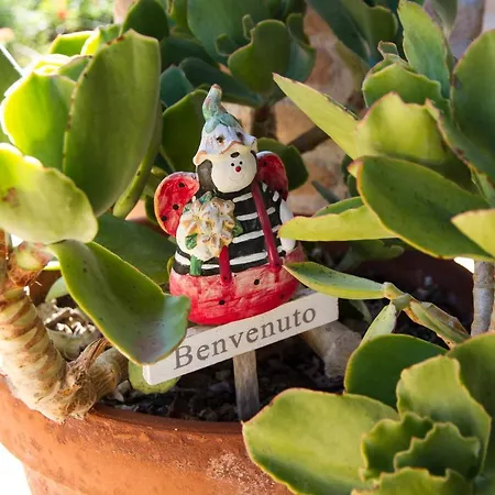 Vila Majesi Casarano