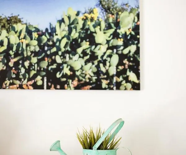 Majesi קאסארנו